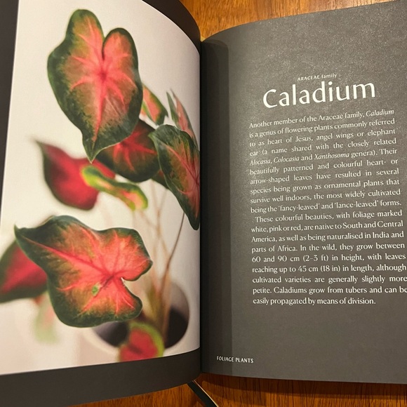 Plantopedia hardcover plant book (Phaidon) - Picture 6 of 9